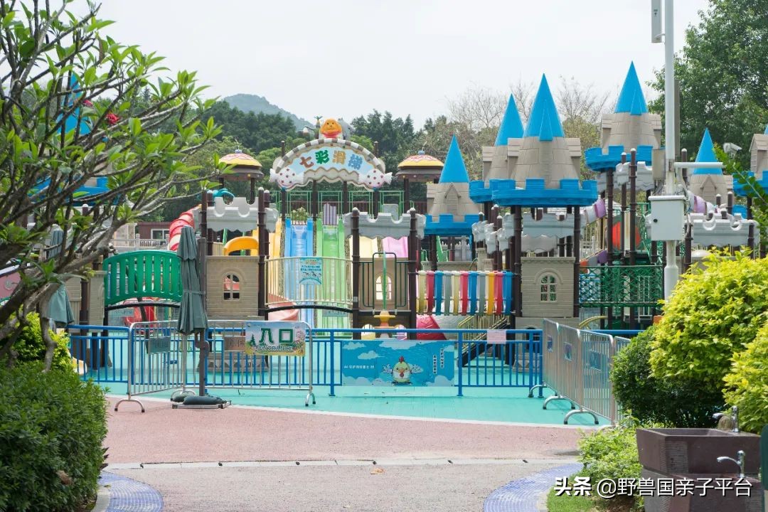 广州遛娃出游,广州遛娃3-4天攻略