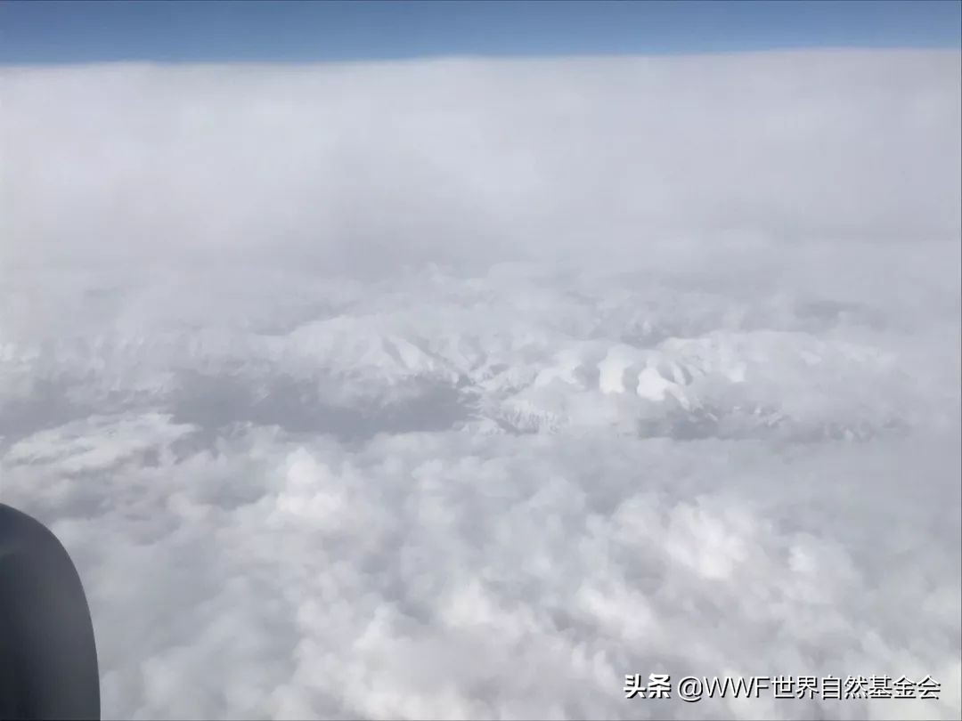 如何正确的品味一首歌,如何品味咖啡更美味