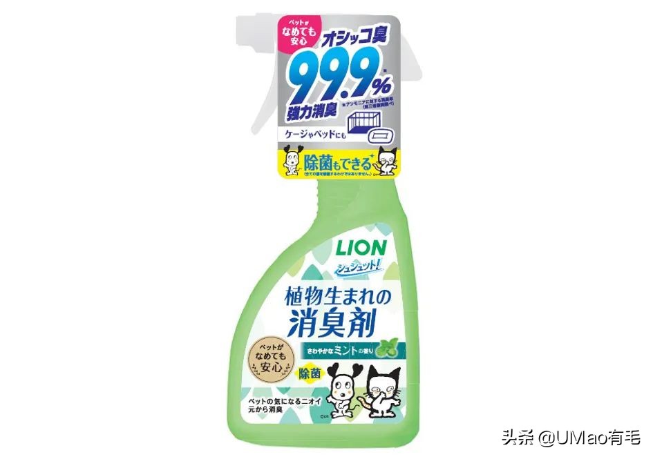 为什么养猫和想象中的不一样,为什么养猫比对自己的父母还好呢