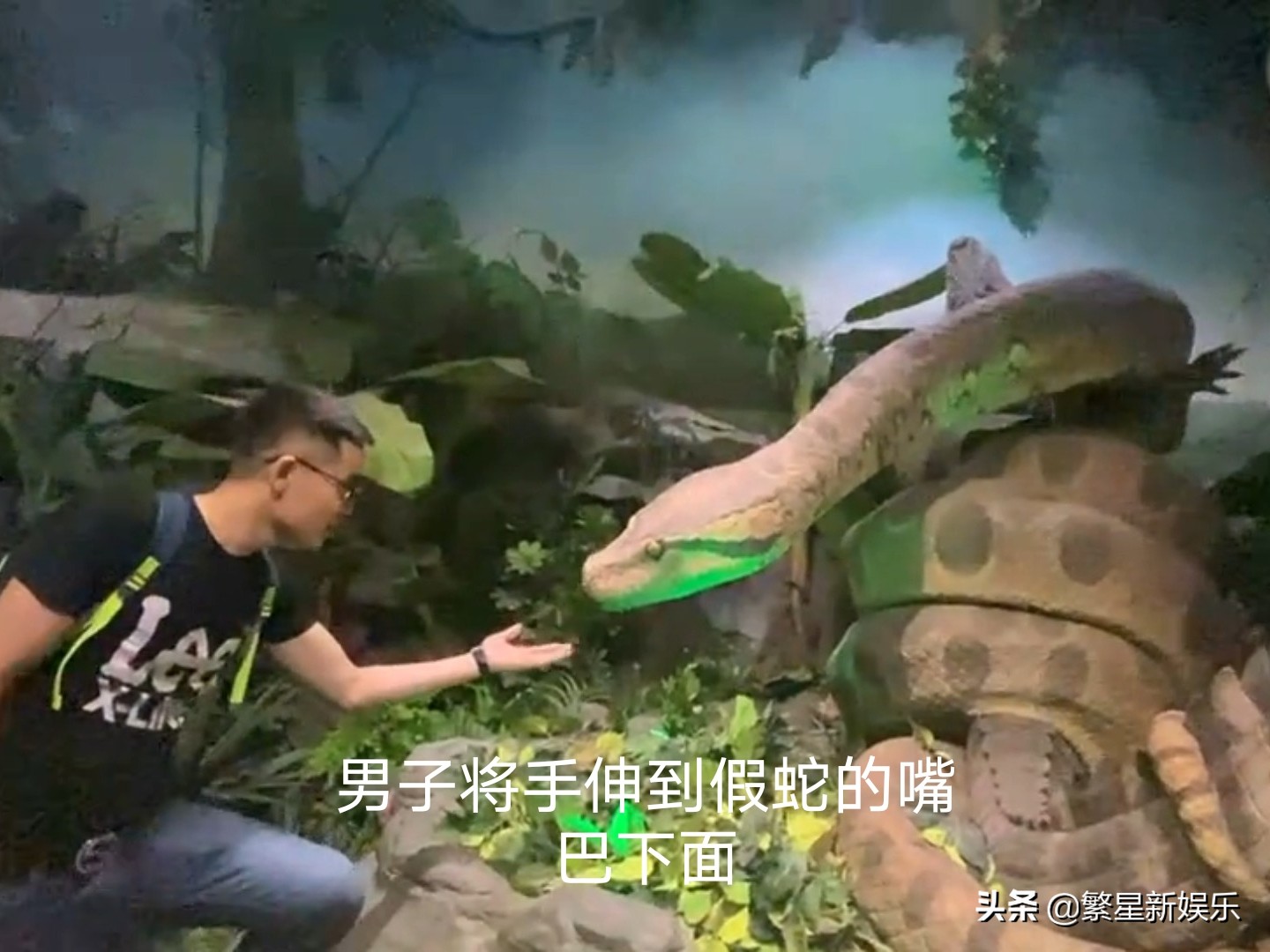 广州长隆假蛇,长隆动物园和蛇互动