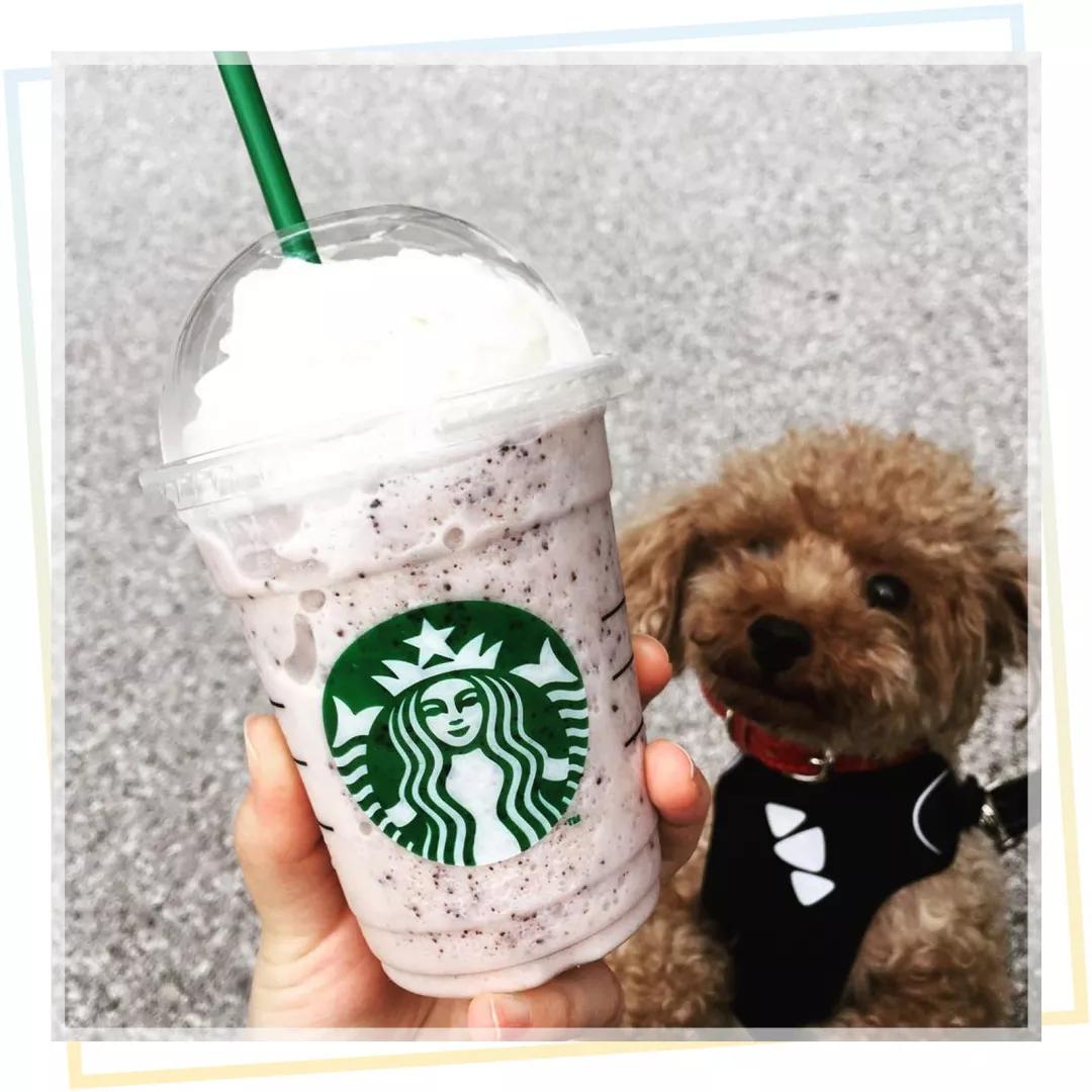 网红奶茶大盘点,高颜值又好喝赶紧做功课