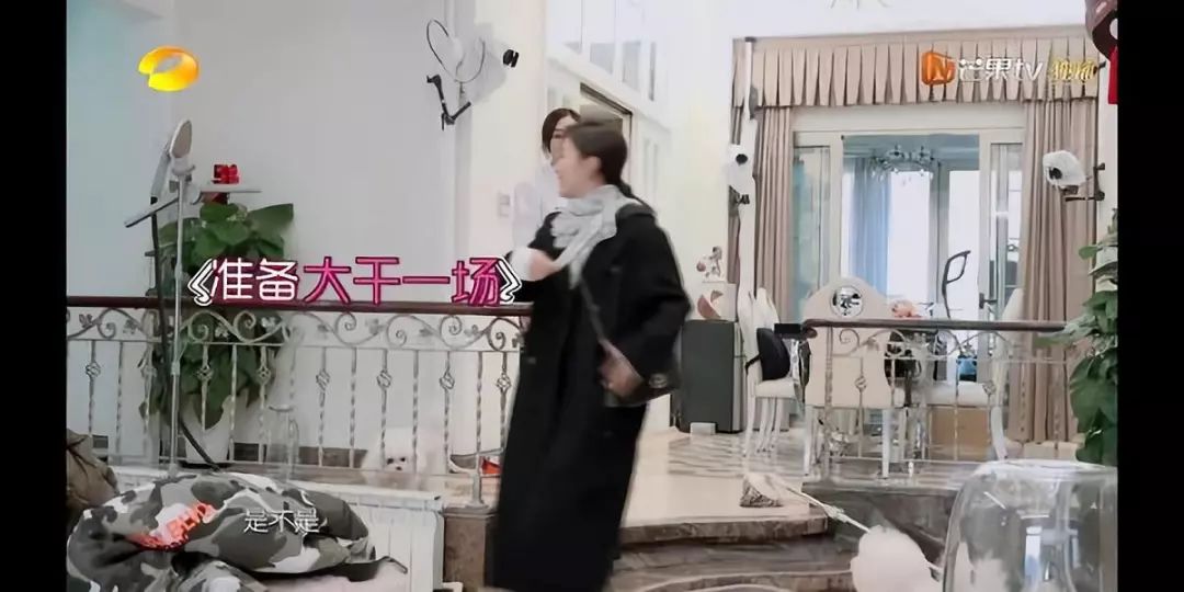 包文婧请保姆,包文婧家政