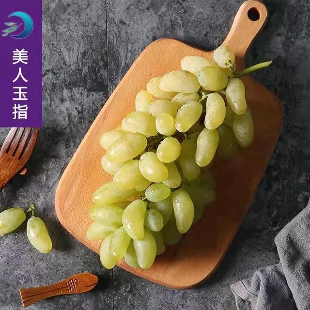 参展企业介绍,参展种业博览会的公司