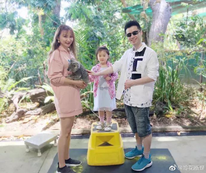 澳大利亚旅游抱考拉,麻麻游记视频大全