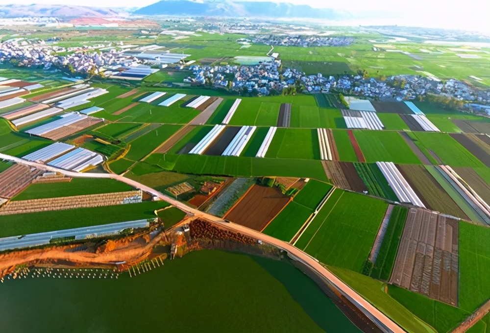 农业发展都有什么好项目,5个农业新项目最赚钱