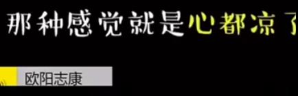 外卖龙虾段子搞笑,外卖的虾是不是都是冻虾