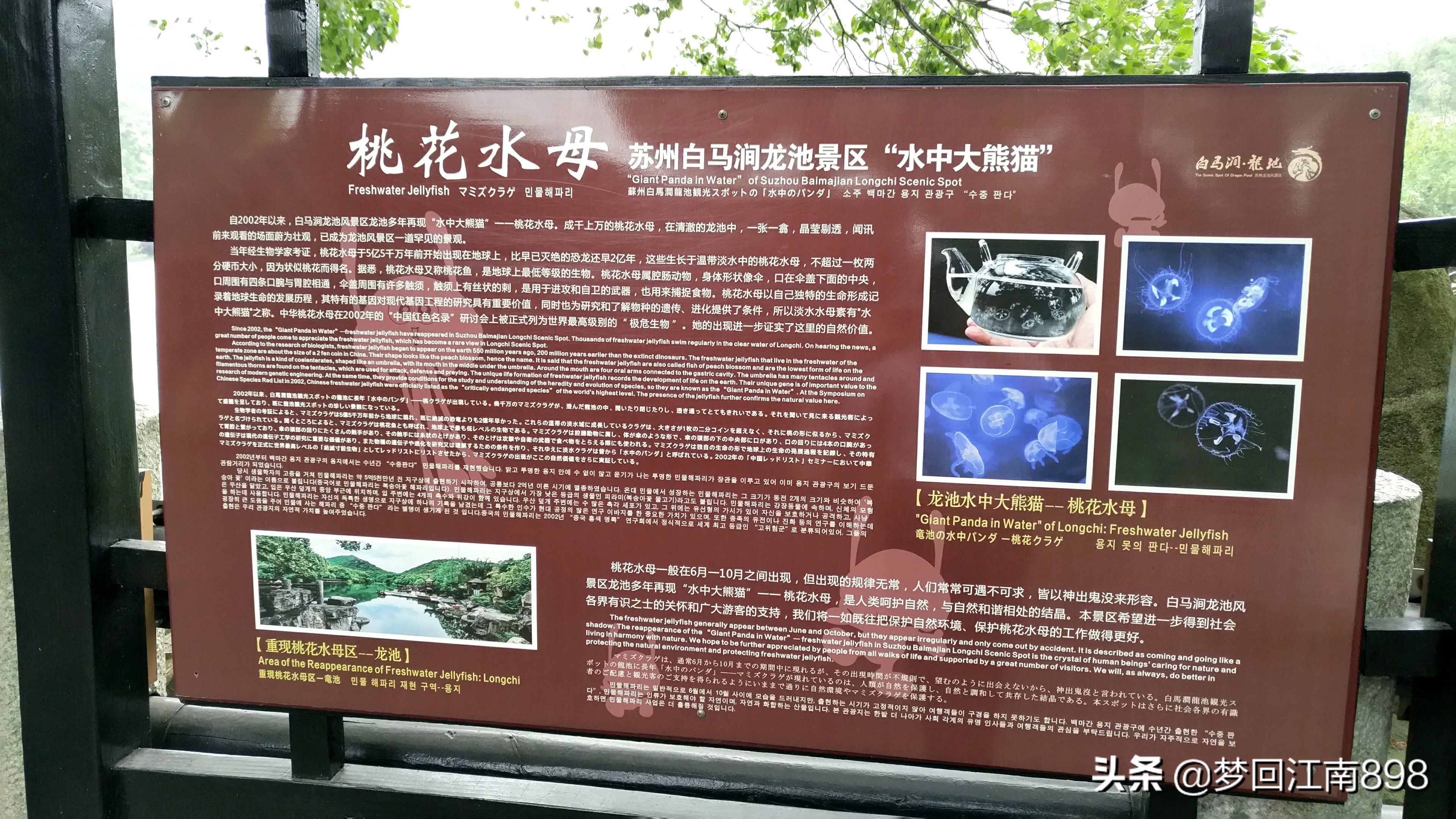 苏州天池山鱼骨线徒步路线图,苏州灵白线徒步需要门票吗