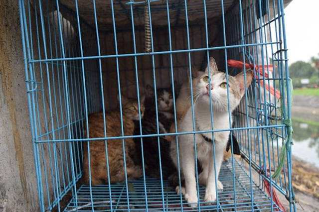 涓浗浜哄彿绉颁粈涔堥兘鍚冧负浣曚笉鍚冪尗,涓浗浜哄彿绉板暐閮藉悆涓轰粈涔堜笉鍚冪尗