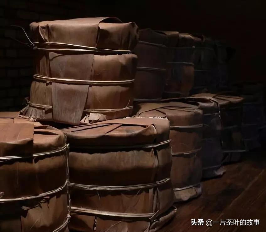 你家的茶叶长“茶虫”吗？冬季“四防”要诀