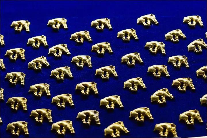 走马文化旅游度假区,走马文化旅游度假区在哪里