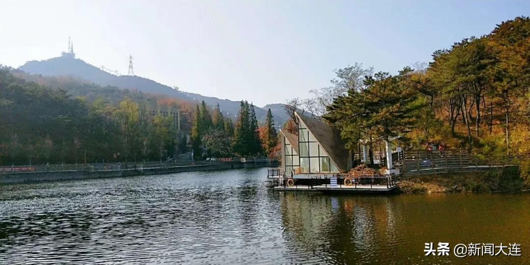 赏秋不必远行！大连这些地方美得正当时