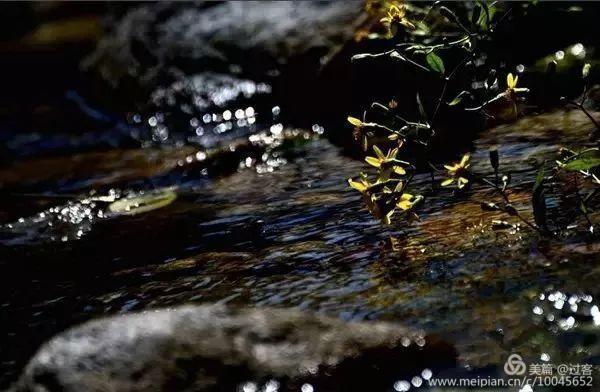 女皇欲长留秋延龙池沟