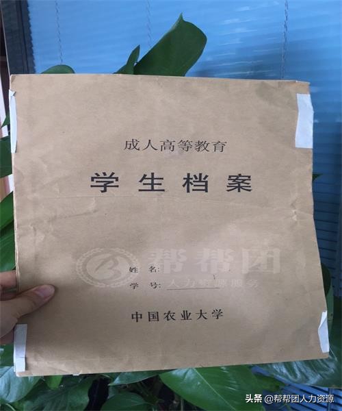 档案还在自己手里成为死档怎么办,档案拿到自己手里多少年是死档