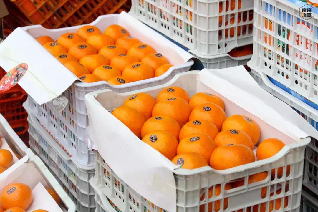 众彩物流公司年货,众彩物流年货大集