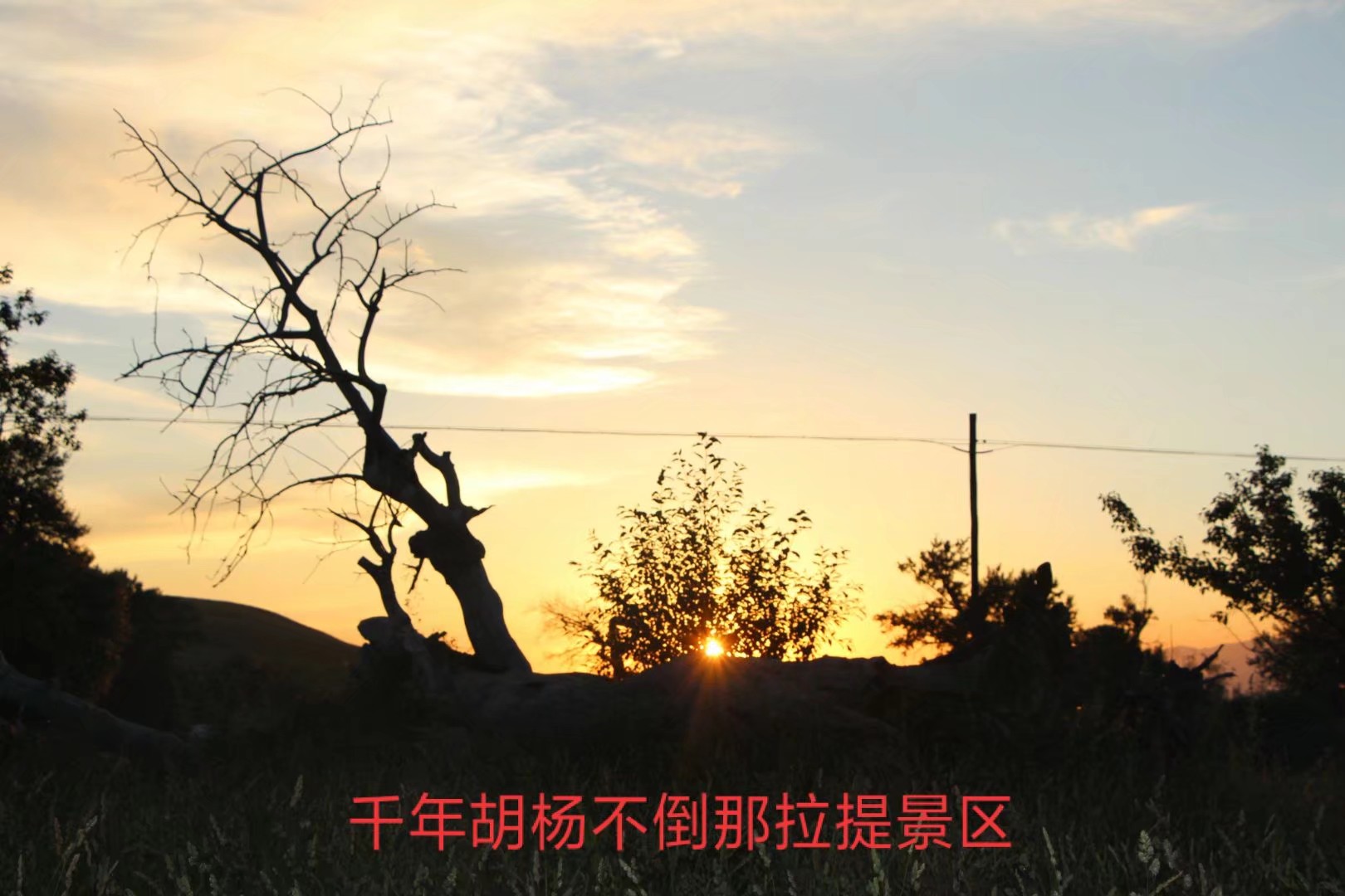 修建天山独库公路的老兵,独库公路幸存老兵