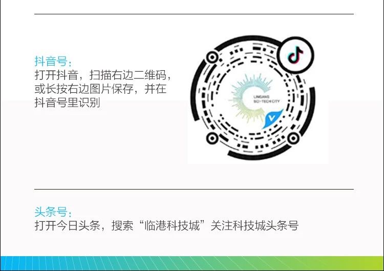 显德科技：在临港，预见未来（上）