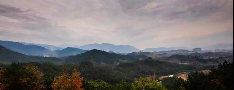 明明可以靠颜值偏要拼实力,明明可以靠颜值却偏偏要拼实力