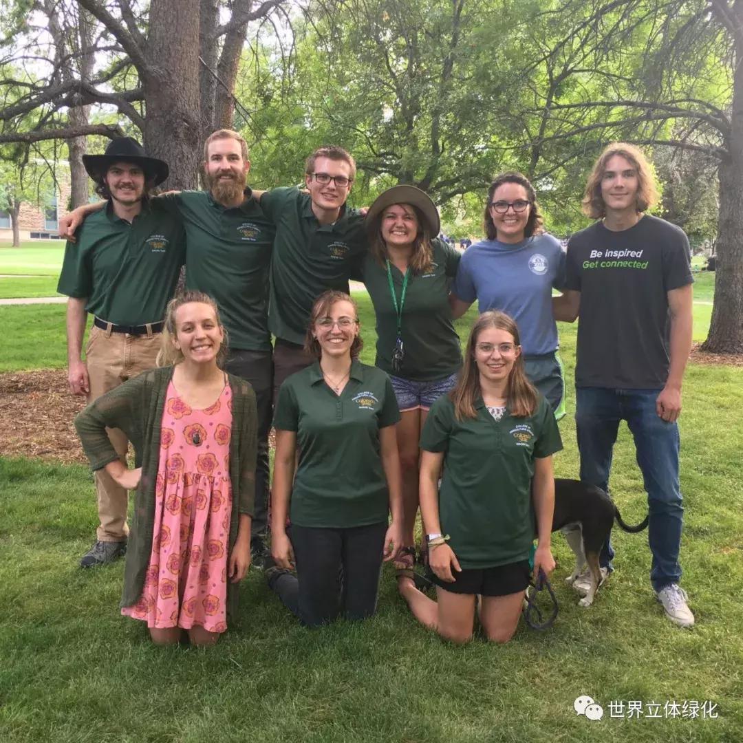 为什么园艺疗法能快速发展,园艺疗法的应用领域