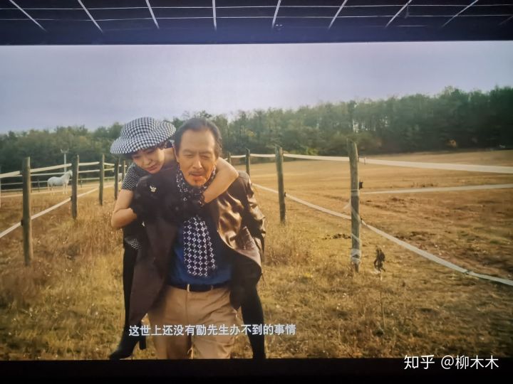 喜宝电影观后感,电影喜宝中有哪些槽点知乎