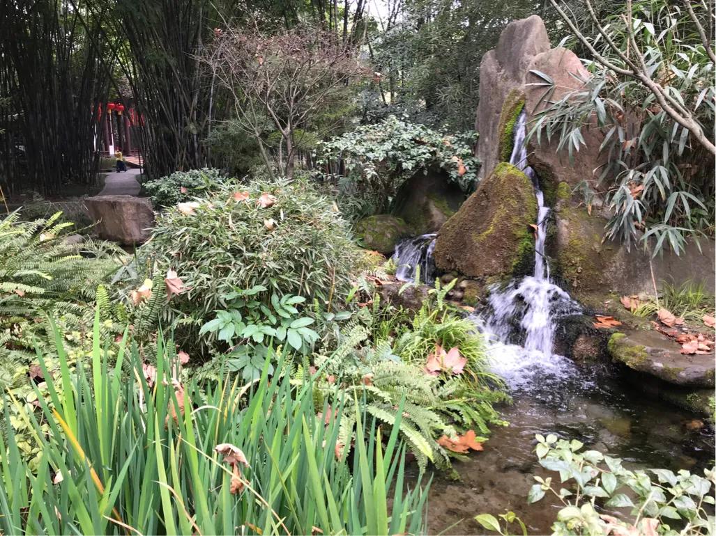 成都望江楼公园简介,成都望江楼公园要门票吗