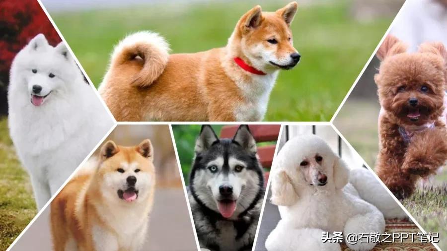 面对一堆渣图怎么办,这样做,废片也能变新颜