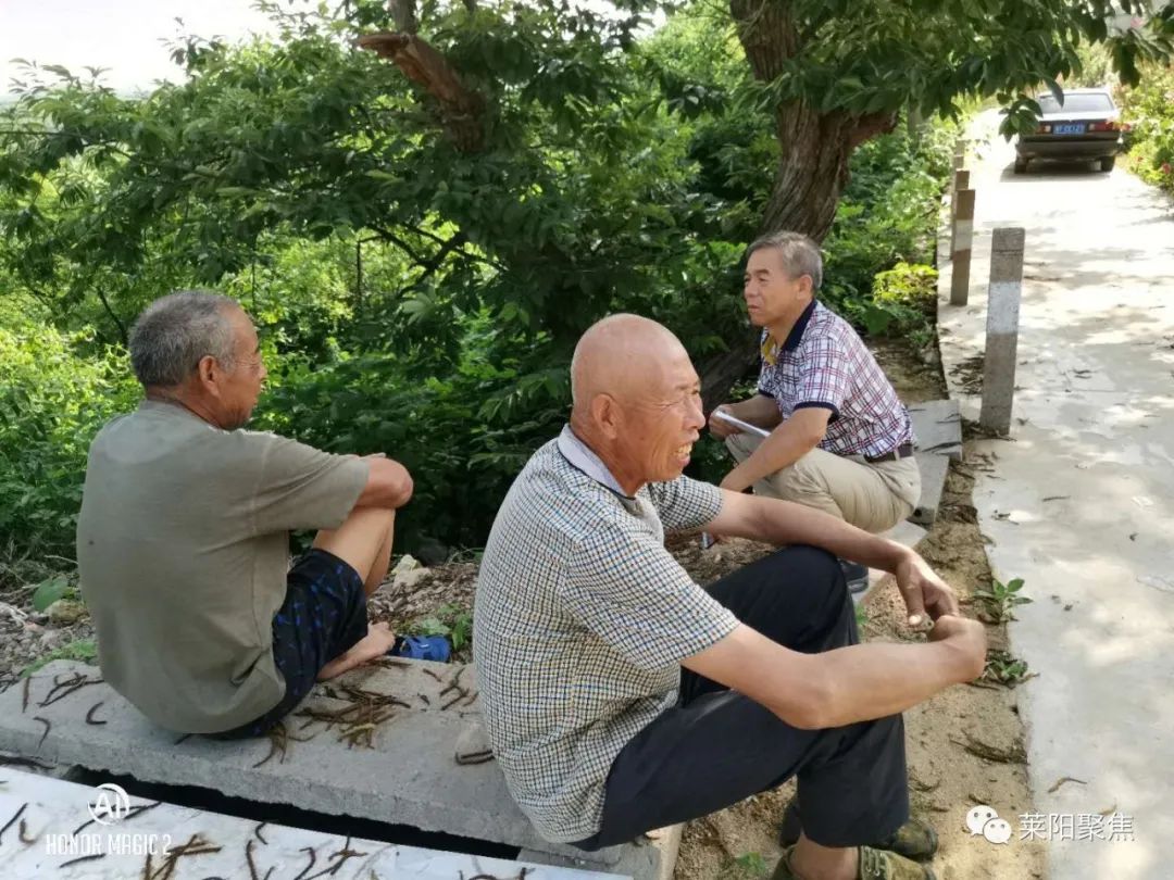 属相排位的由来,十二属都是啥