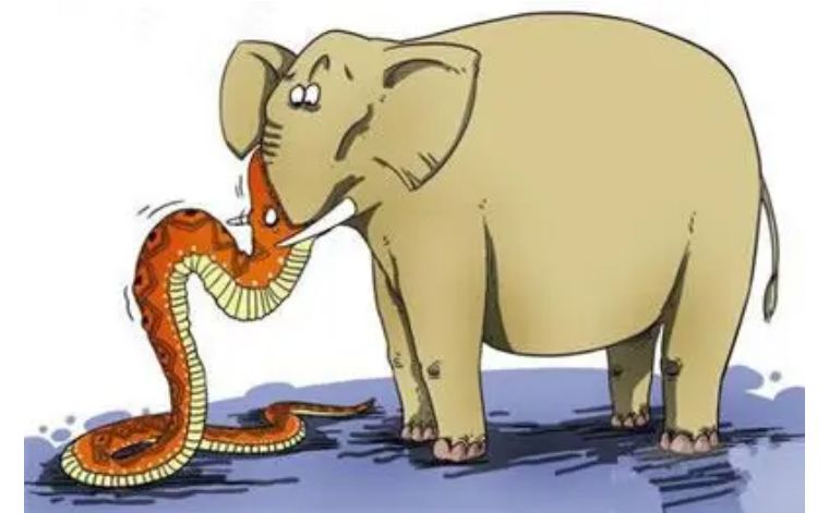 whiteelephant象征什么,whiteelephant代表什么含义