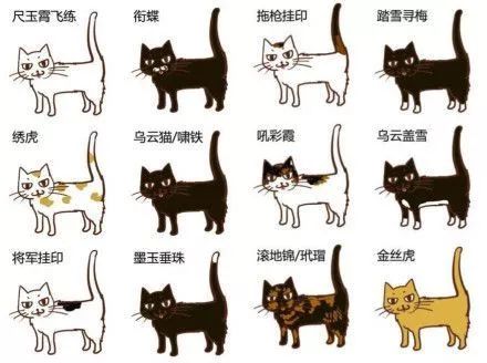 从天文历法到汉服古制，这本书简直就是一座充满吐槽和段子的宝库