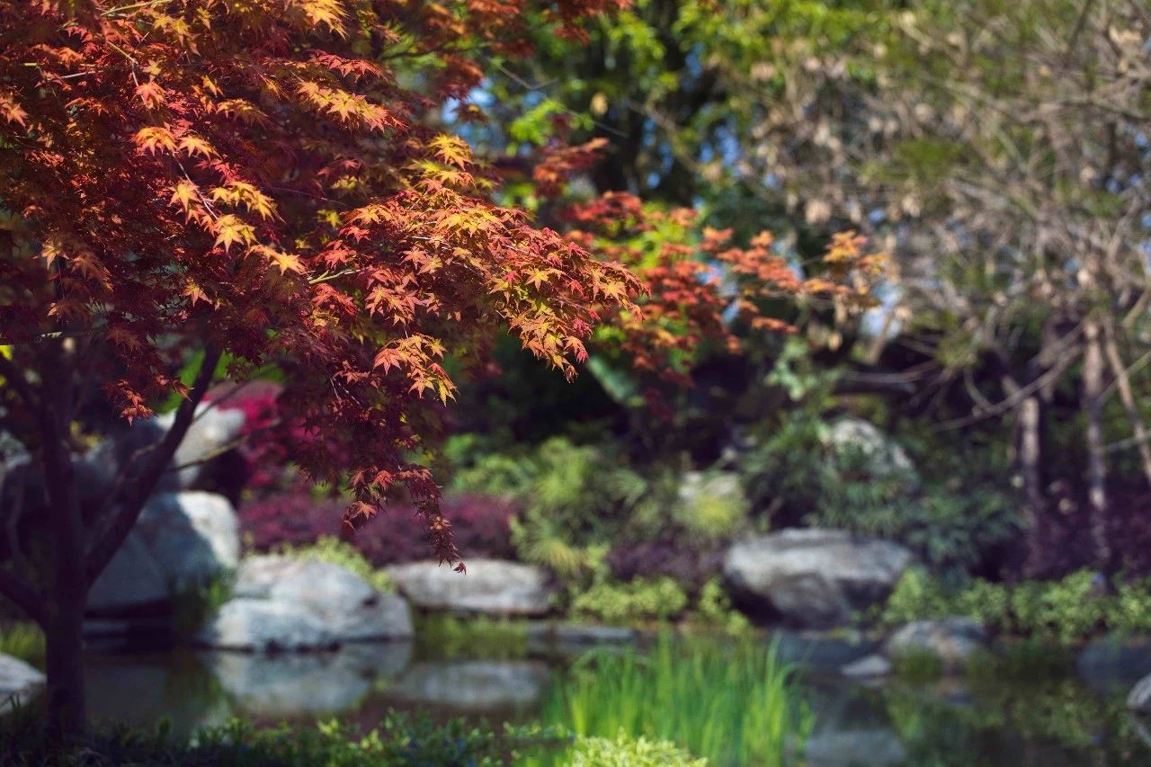 鎴愰兘澶╁簻鏂板尯涓痉楹撳簻,鎴愰兘澶╁簻鏂板尯涓痉楹撳簻鍏瘬