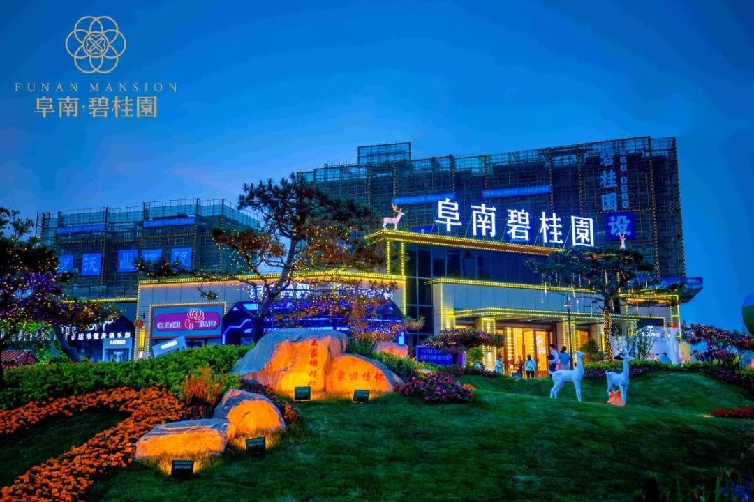 碧桂园南北通透户型讲解,碧桂园120户型分析与大师讲解