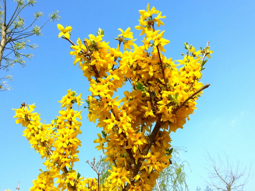 七绝诗新韵原创,五绝中华新韵的诗