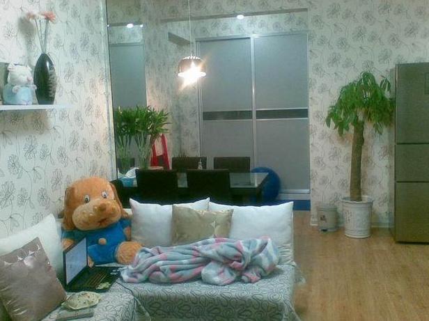 29岁大龄剩女装修35平米,30岁独居女生房子的装修