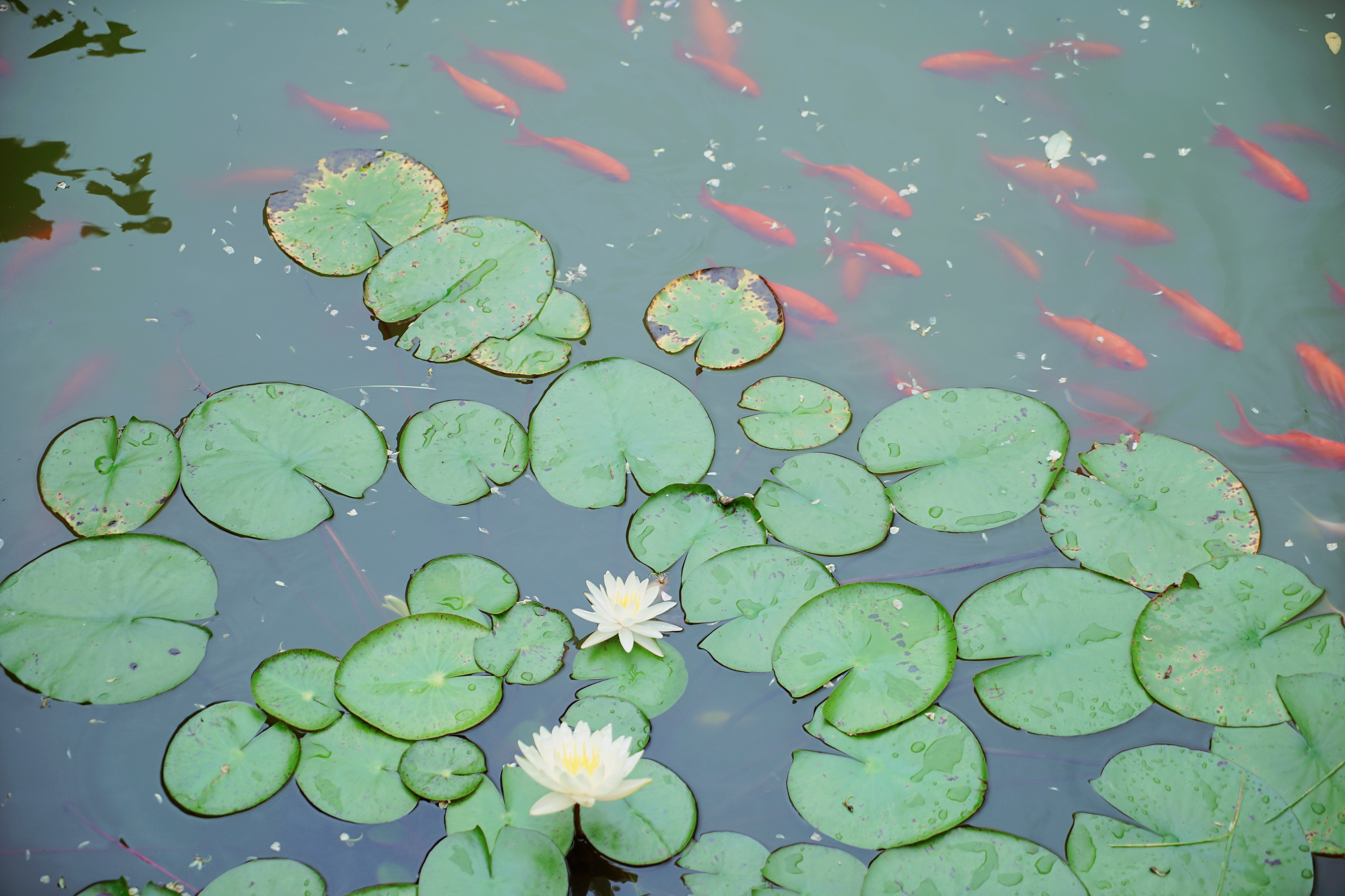 命运变好最简单的方法,让命变好又得福报的7条秘法