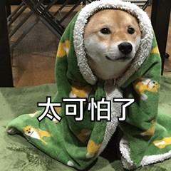 iphone终于用上了6g运存,iphone对比安卓不能用的功能