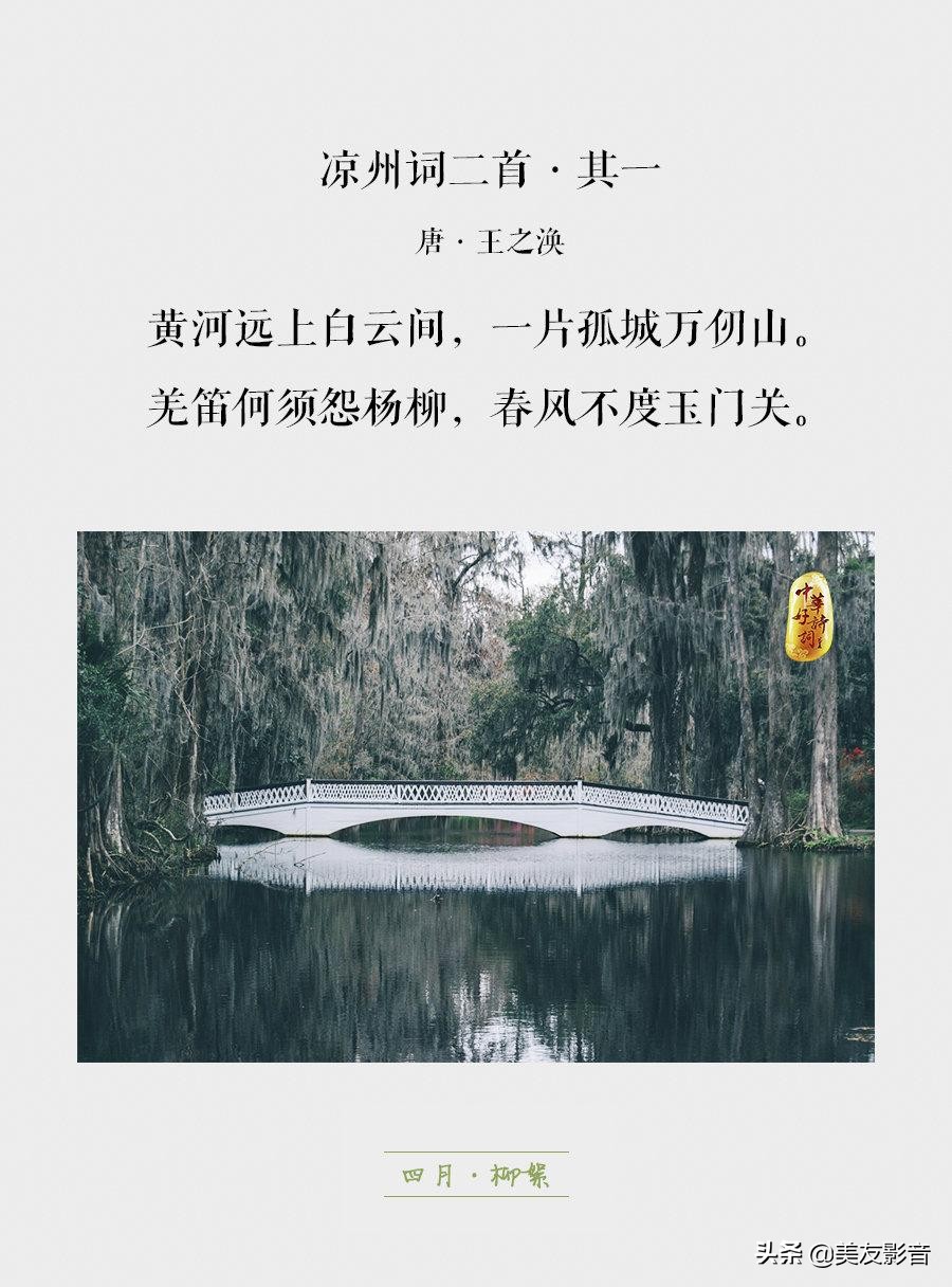 知识有哪些方面的,知识你了解了吗图片