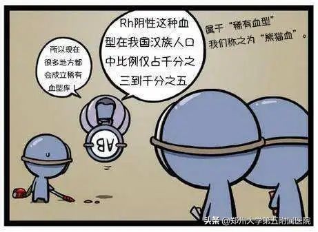 通用熊猫血问世,熊猫血人群输血不慌了