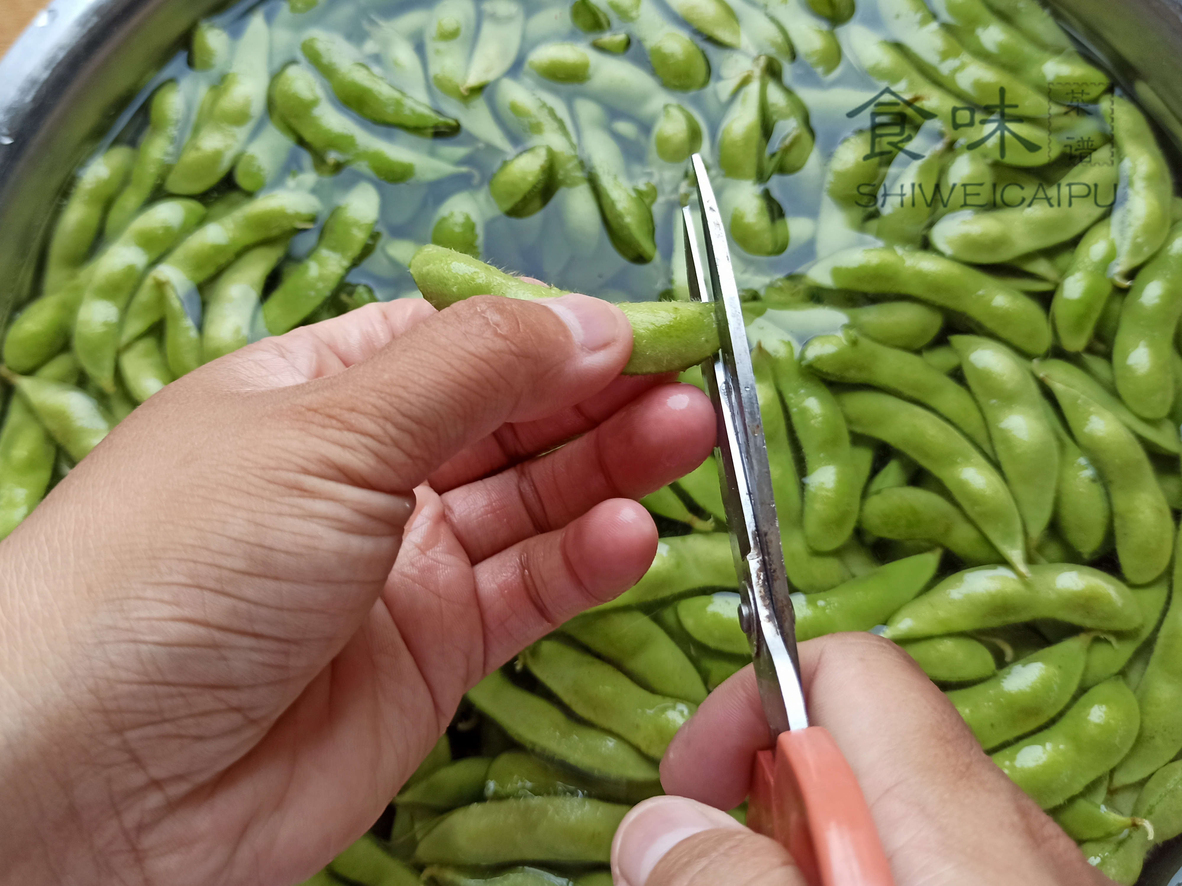 煮毛豆的正确做法没有碱面,煮毛豆的正确做法不带皮