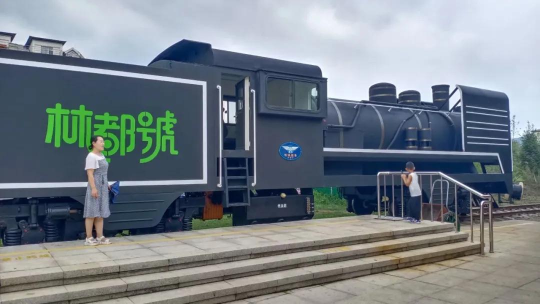 伊春旅游车,伊春旅游小火车怎么坐