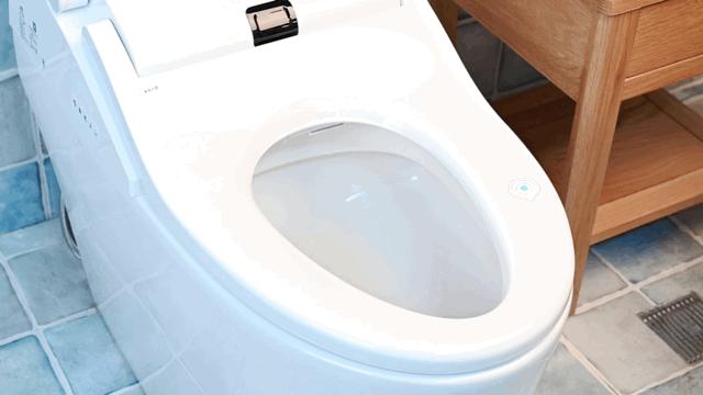 保卫菊花，从马桶做起——水鹿大鲸一体自动马桶使用感受