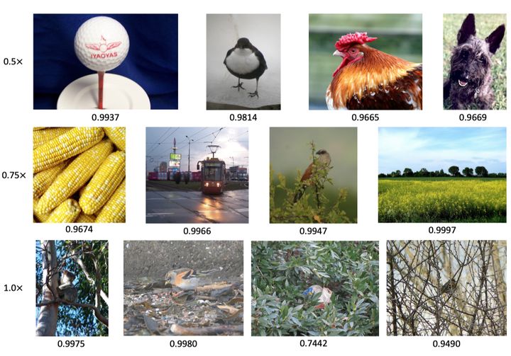 图像超分辨率分类,图像分辨率降低算法