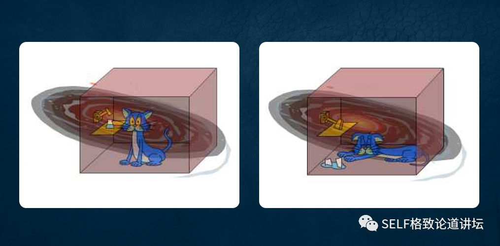 量子物理谜团薛定谔的猫已被破解 (量子计算机是否验证了薛定谔的猫)