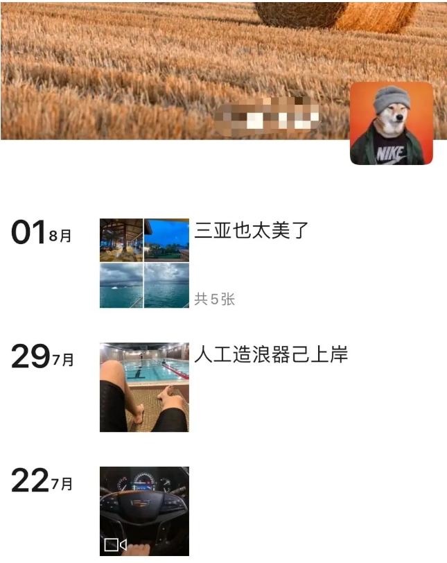 伪名媛拼单最新视频,伪名媛拼单现象