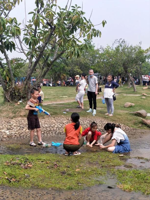 深圳海上田园一日游,深圳宝安海上田园风景