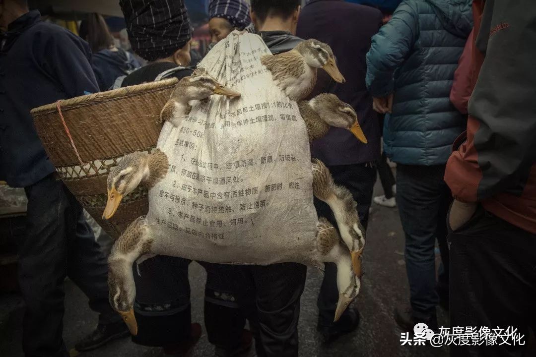 摄影人与自然和谐共生,摄影人像一生有爱