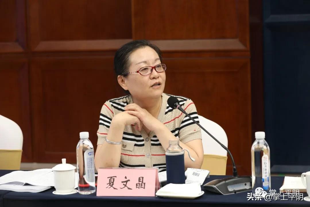 如何打造平阴“杏坛遗响儒乡孔村”文旅品牌,专家学者这样建言献策