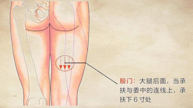 腰椎间盘突出症的自我疗法，跟着专家学，有些在家就能做