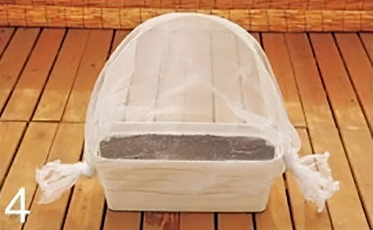 避蚜虫的防虫网,种菜防虫网能防蚜虫吗