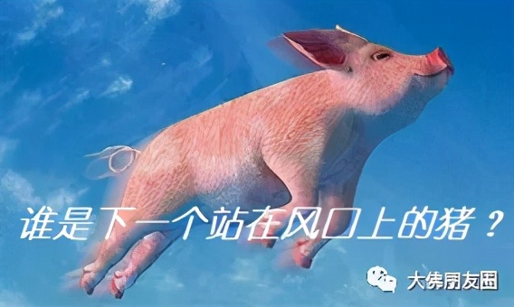 什么才是真正暴利的行业？