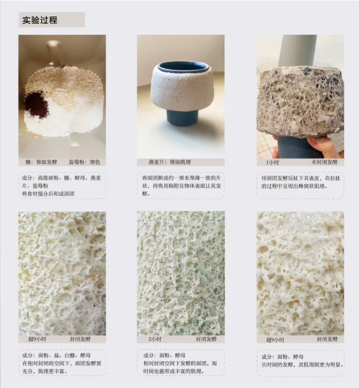 食物设计案例,健康饮食的设计意图