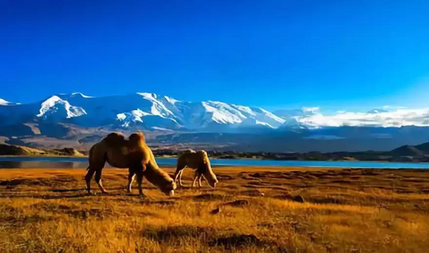 中国六十年代观影最多的电影,18年震撼中国十大瞬间